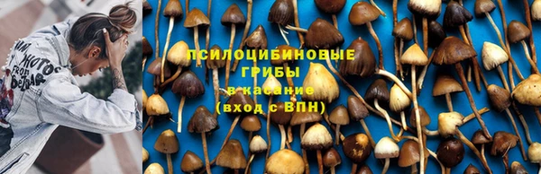 индика Алексеевка