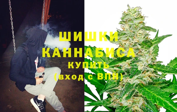 индика Алексеевка